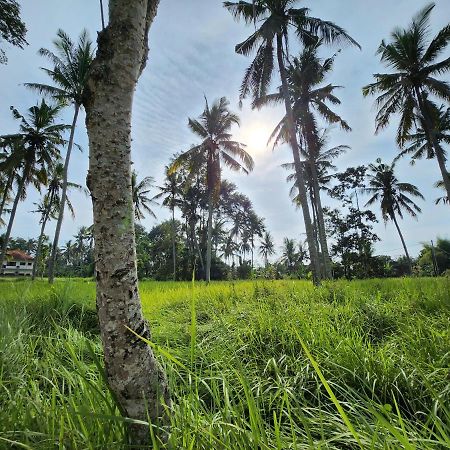 Casa Idea Ubud ภายนอก รูปภาพ