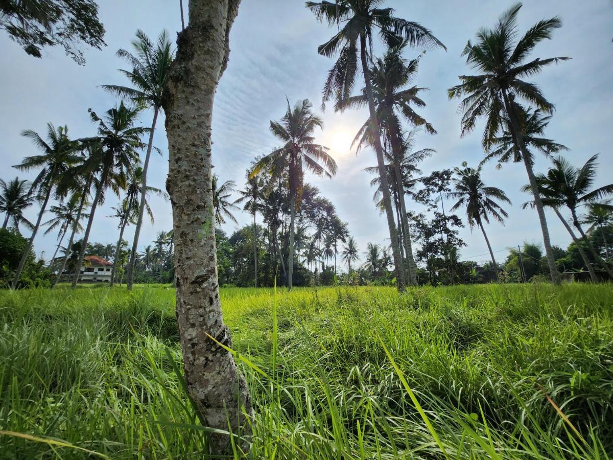 Casa Idea Ubud ภายนอก รูปภาพ